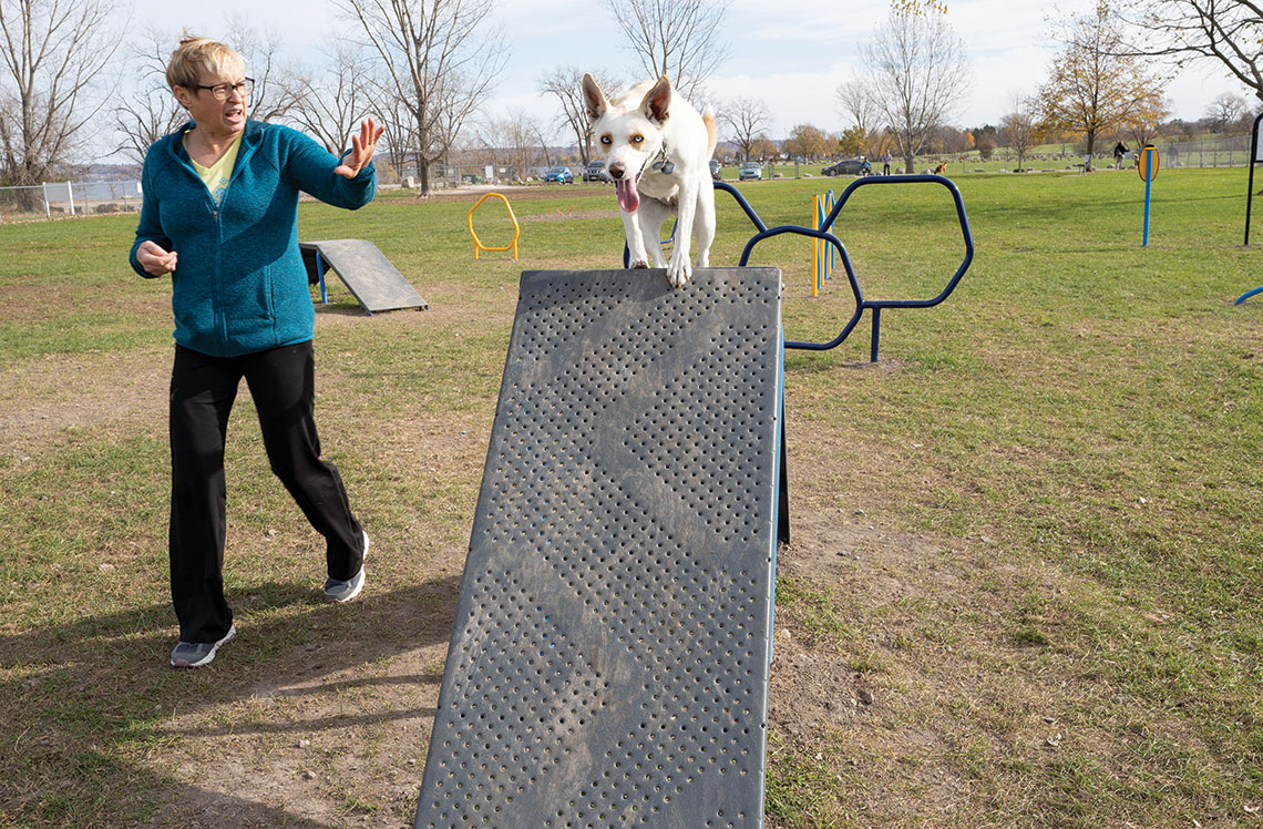 Outdoor Dog Exercise Equipment