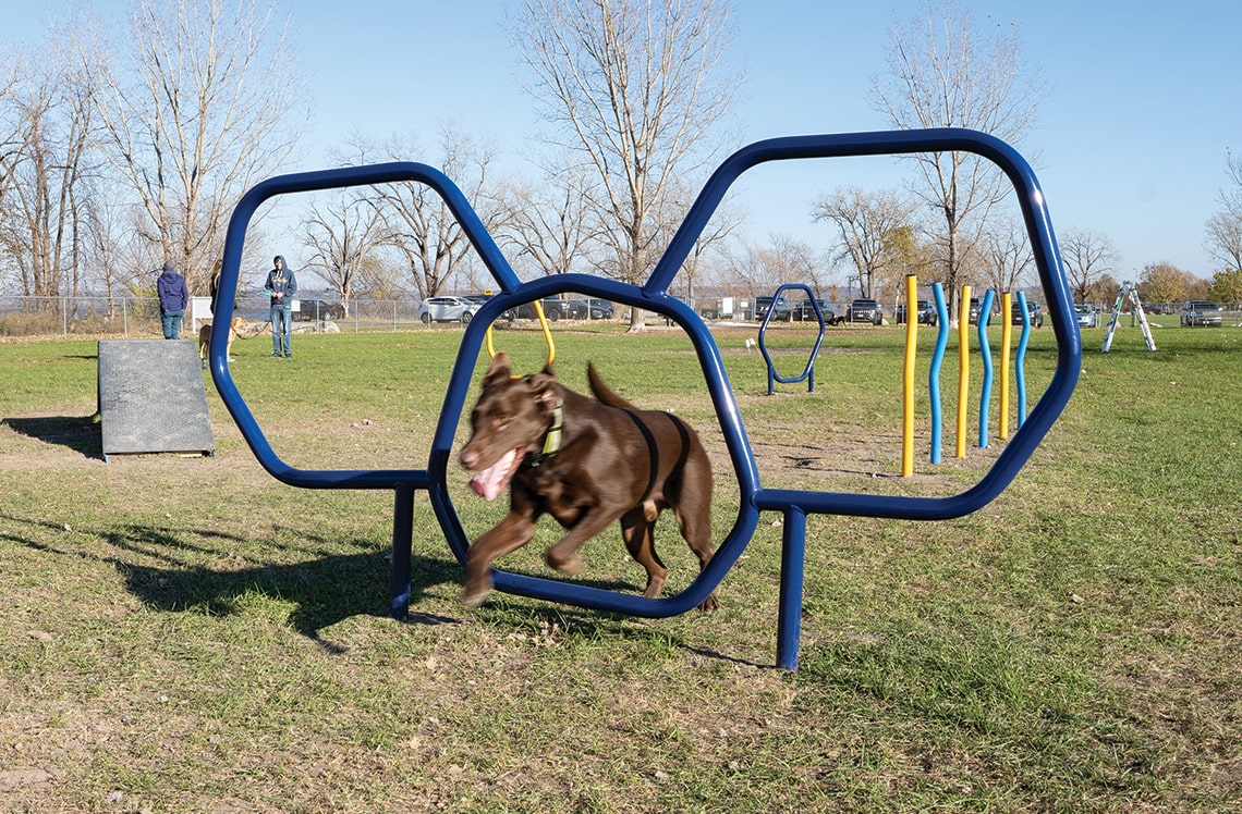 Backyard Dog Playground/playground Equipment For Dogs - Buy Backyard Dog  Playground,Playground Equipment For Dogs Pro…